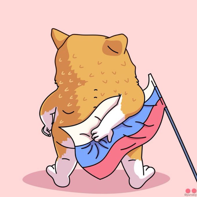 Туса kotikov tweet media