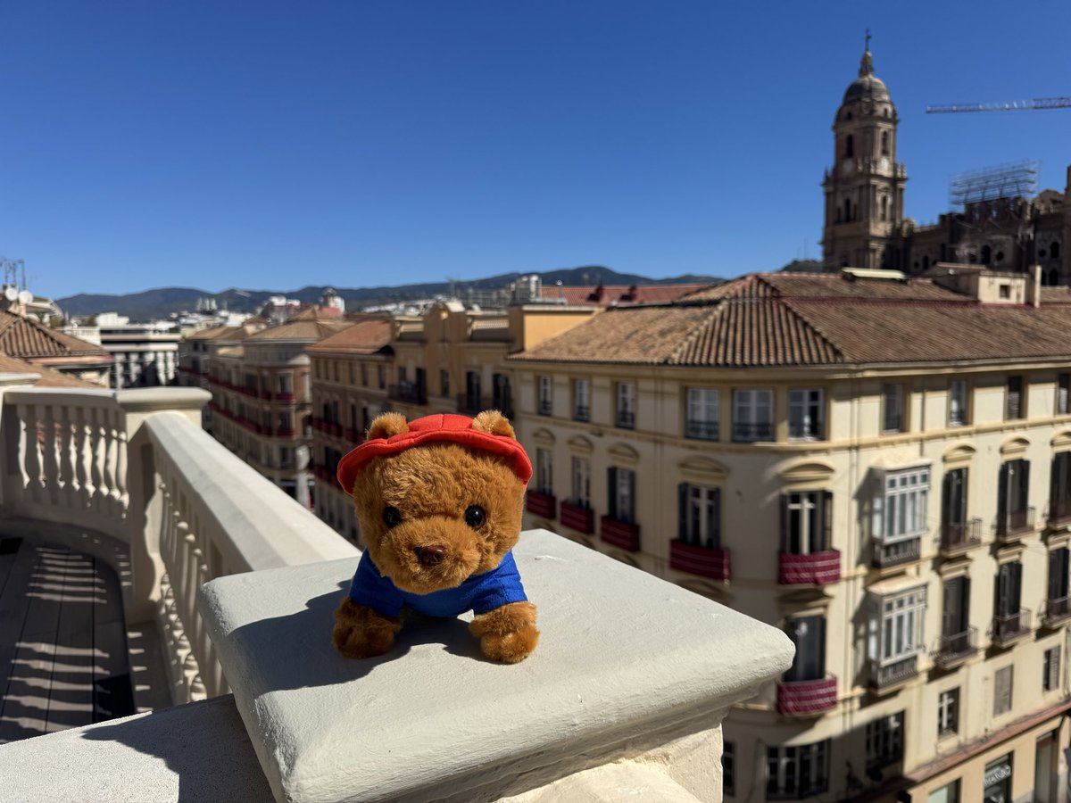 𝓒𝓖 🌺 tweet media