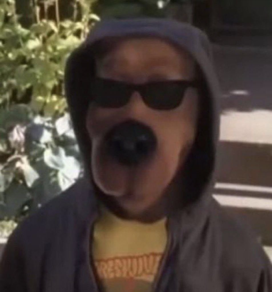 magali maripuã 🔮 tweet media