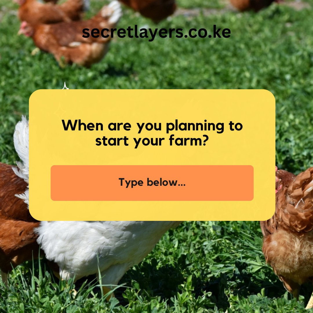 LayersSecret's tweet image. People have been asking me this question lately.

So I decide to ask it to you too.

Let me know in the comments.

My answer is there👇🏿

#farm #start