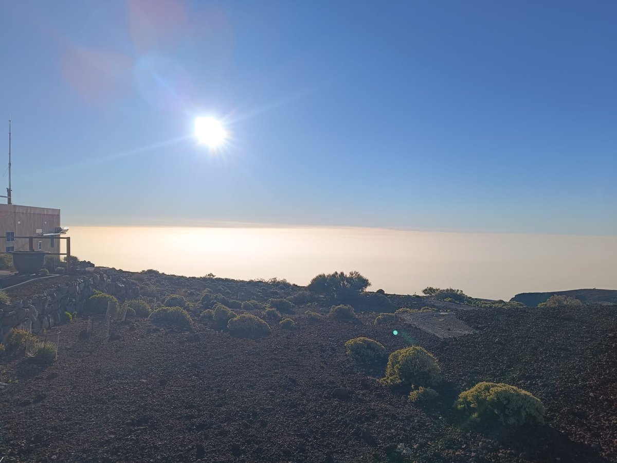 AEMET_Izaña tweet media