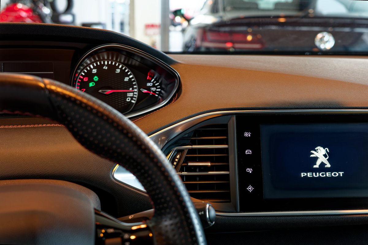 Yorupiku tweet media