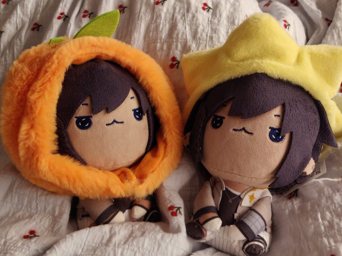 FU@忙碌中 tweet media