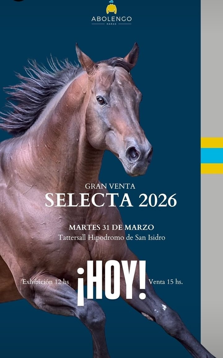 Julio Guimaraes tweet media