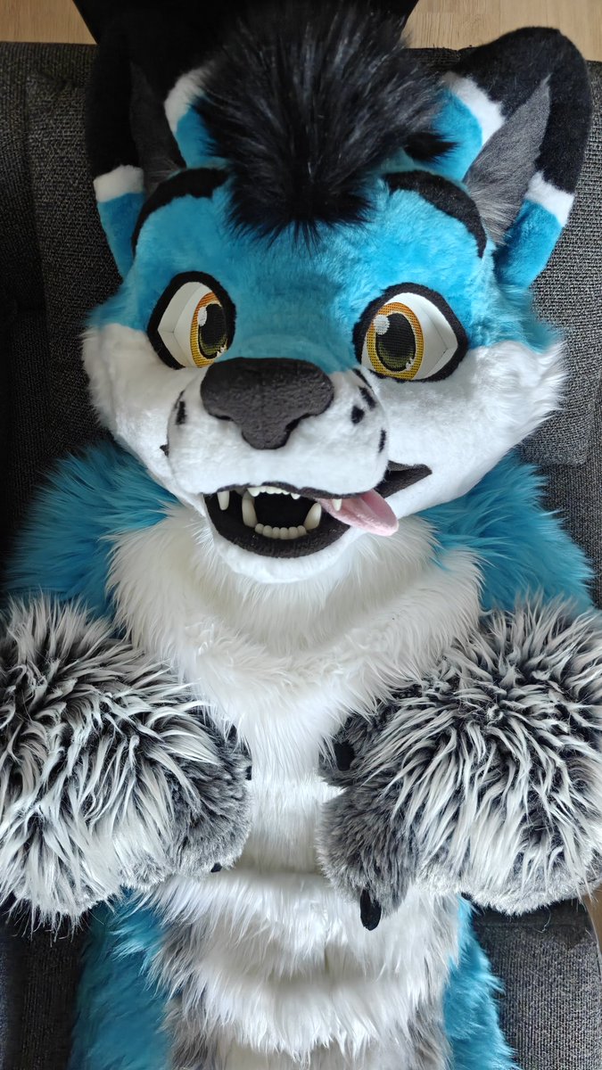 pulikkka's tweet image. New Pulikka🦊🩵 by @r5suits 
#fox #fursuit #blue #furry #furryfandom