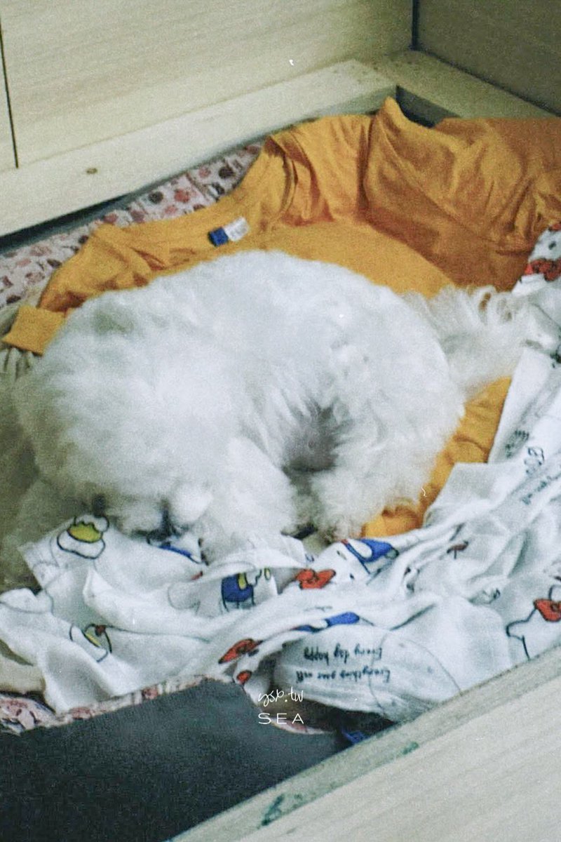 47 (ysx.tw) tweet media