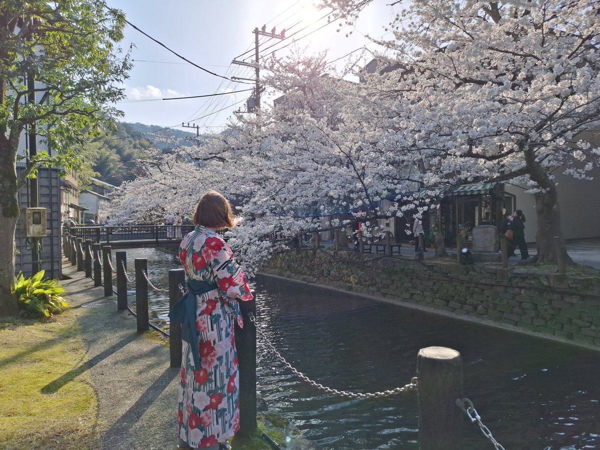 ღ 🌸 𝑵𝒐𝒂 🌸 ღ tweet media