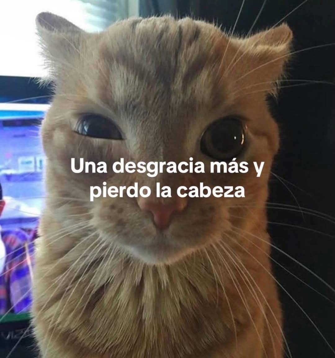 Salvador Iglesias Jr tweet media