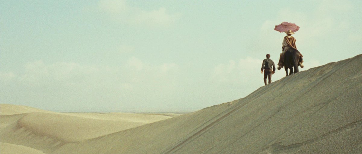 FilmFrame tweet media