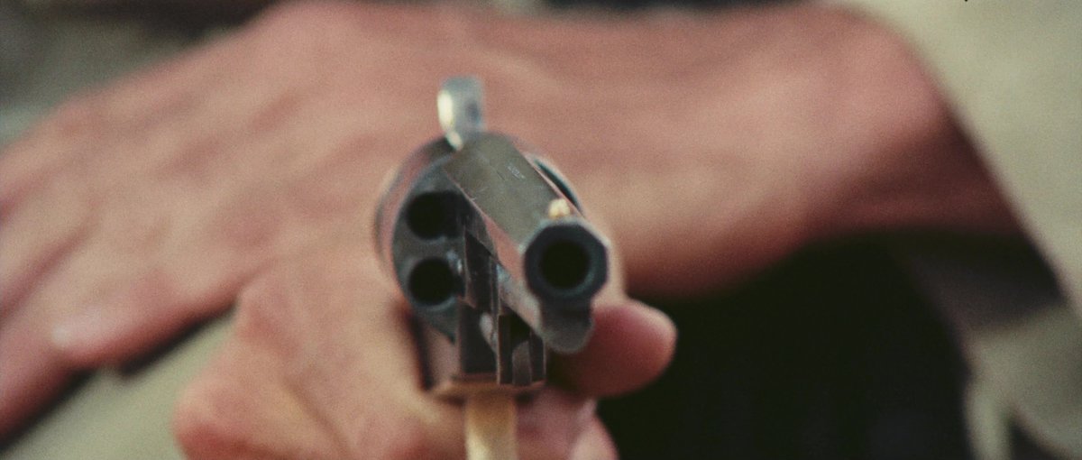 FilmFrame tweet media