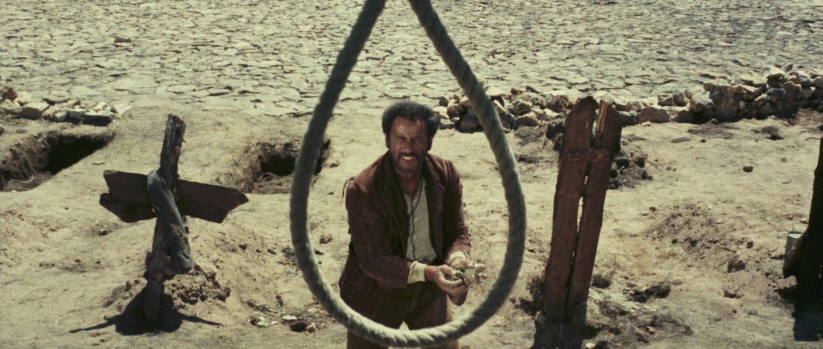 FilmFrame tweet media