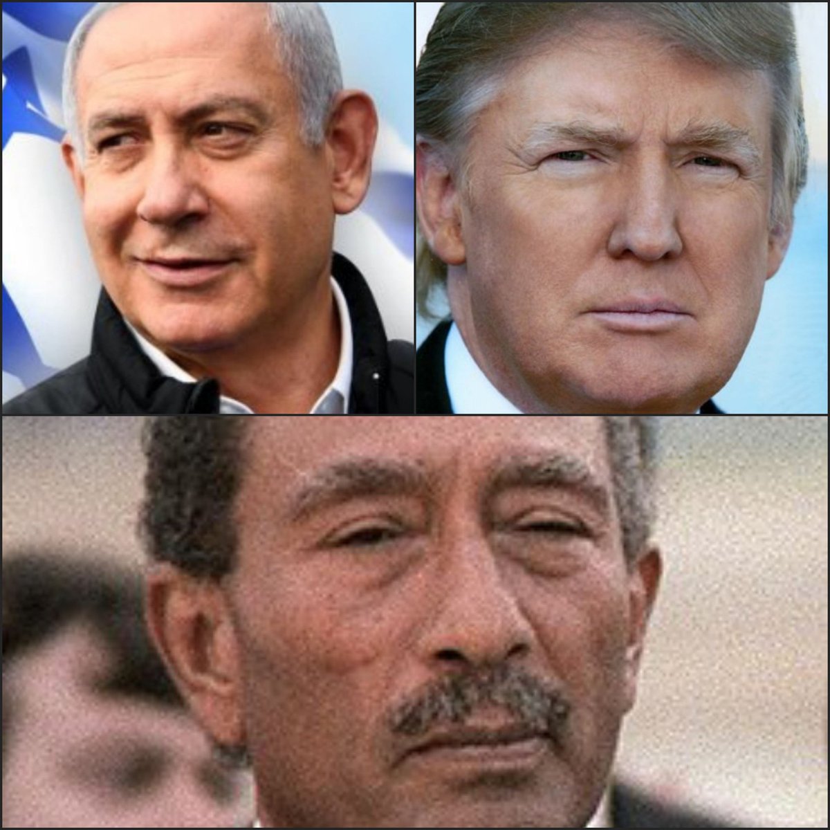 👑ALIREZA👑 tweet media