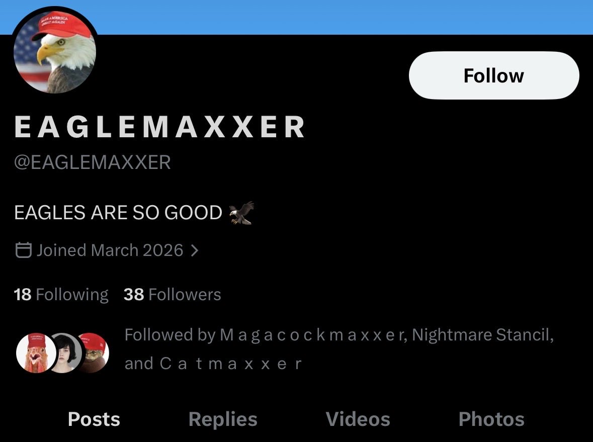 HowlingBeagle tweet media