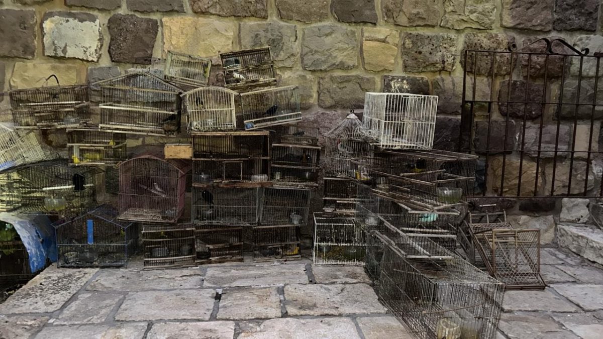 Mendoza Gobierno tweet media