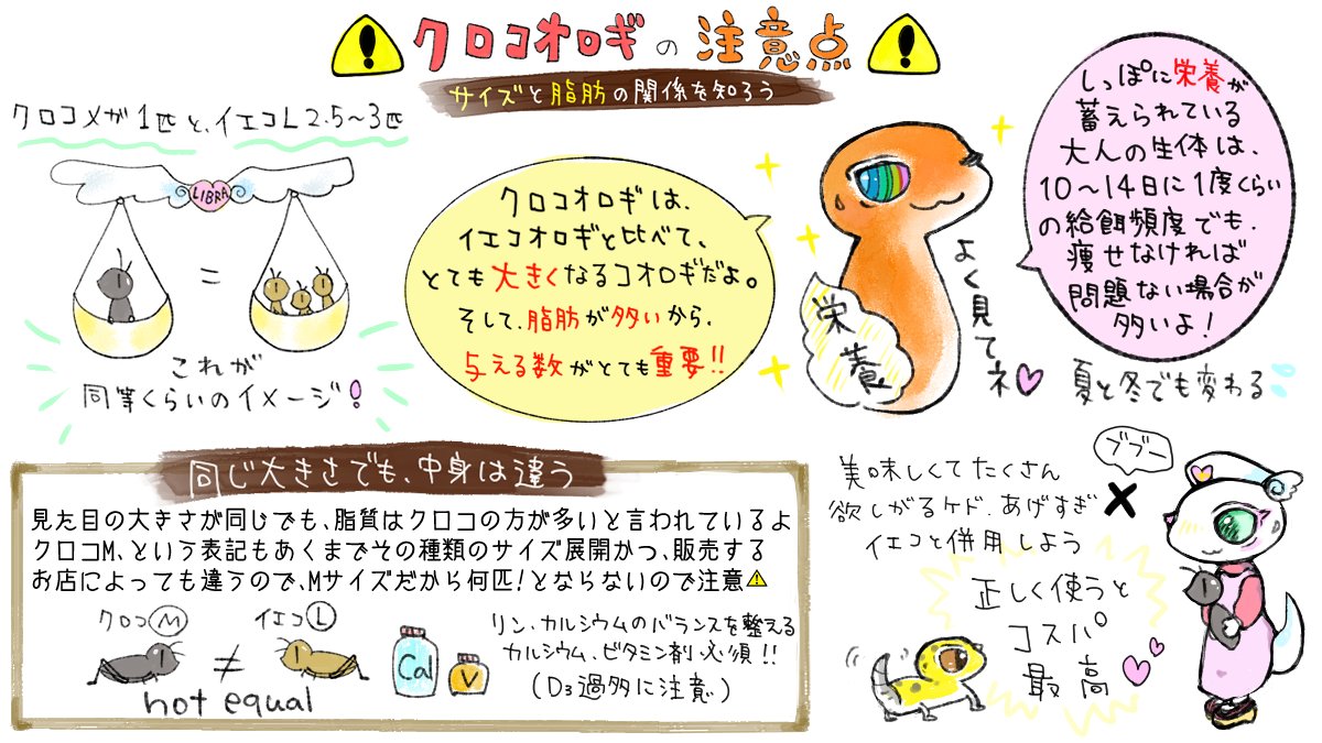 はいどあんどしーく.🎃エキゾ&えさやさん tweet media