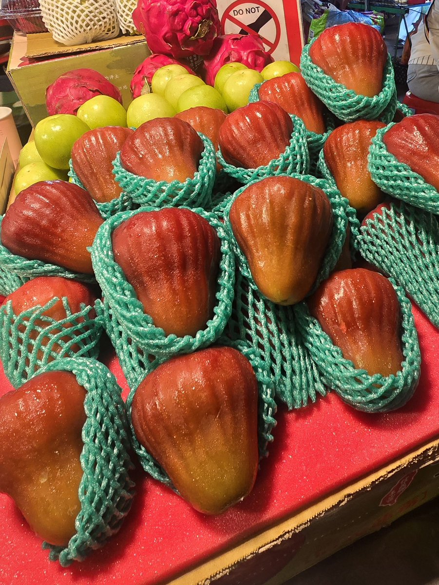 SAE 사에 tweet media