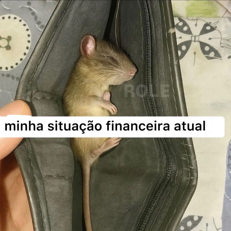 sigafraseslow's tweet photo. https://t.co/2C4m5pscR6