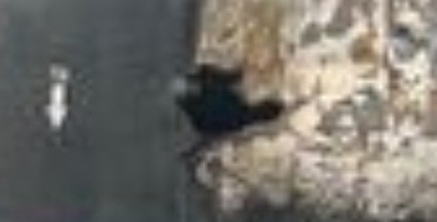 عبدالله tweet media