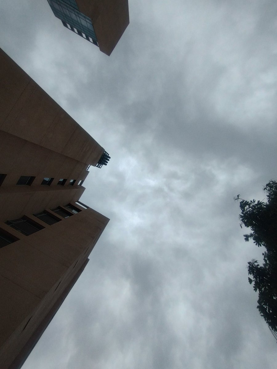 mohit 🍉 tweet media