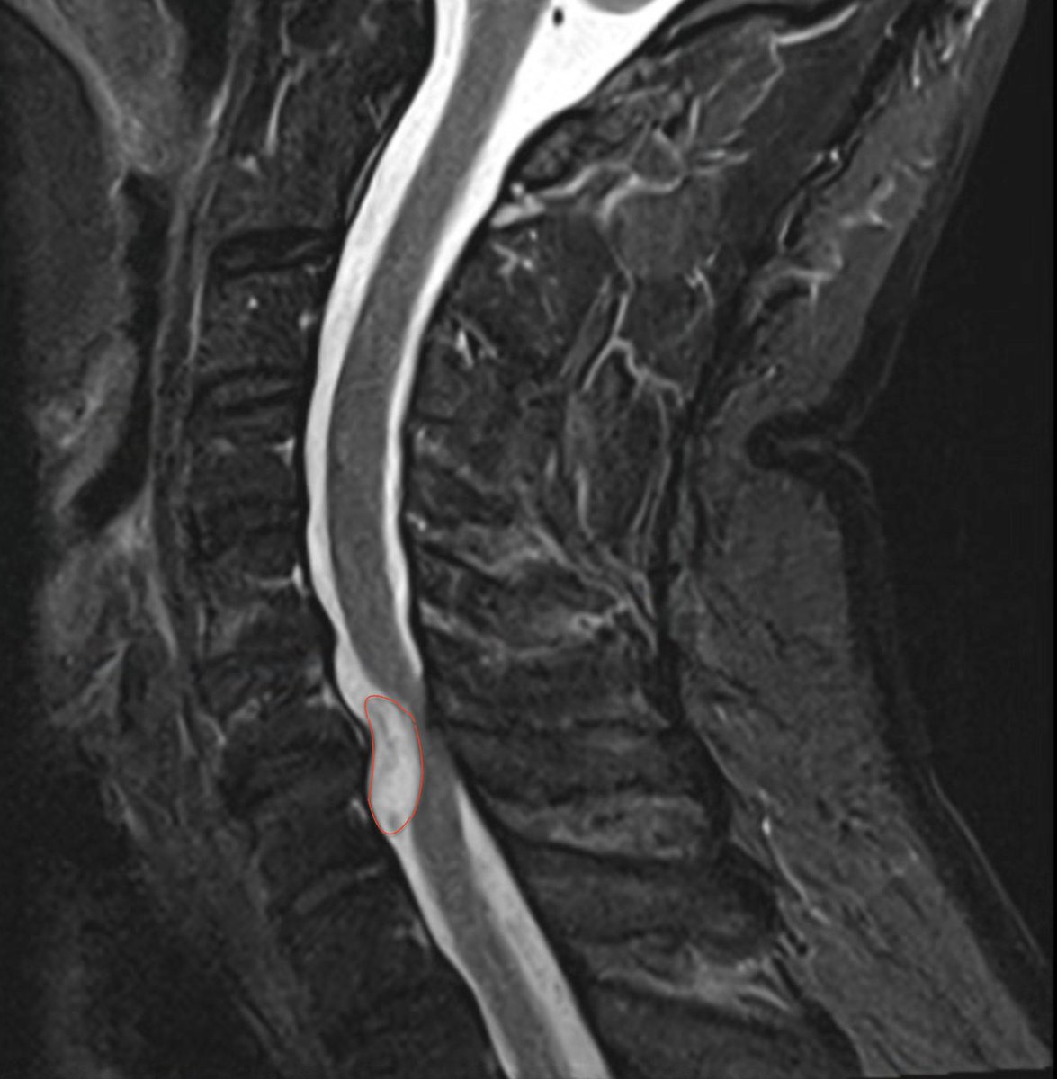 Denis_in_TX tweet media