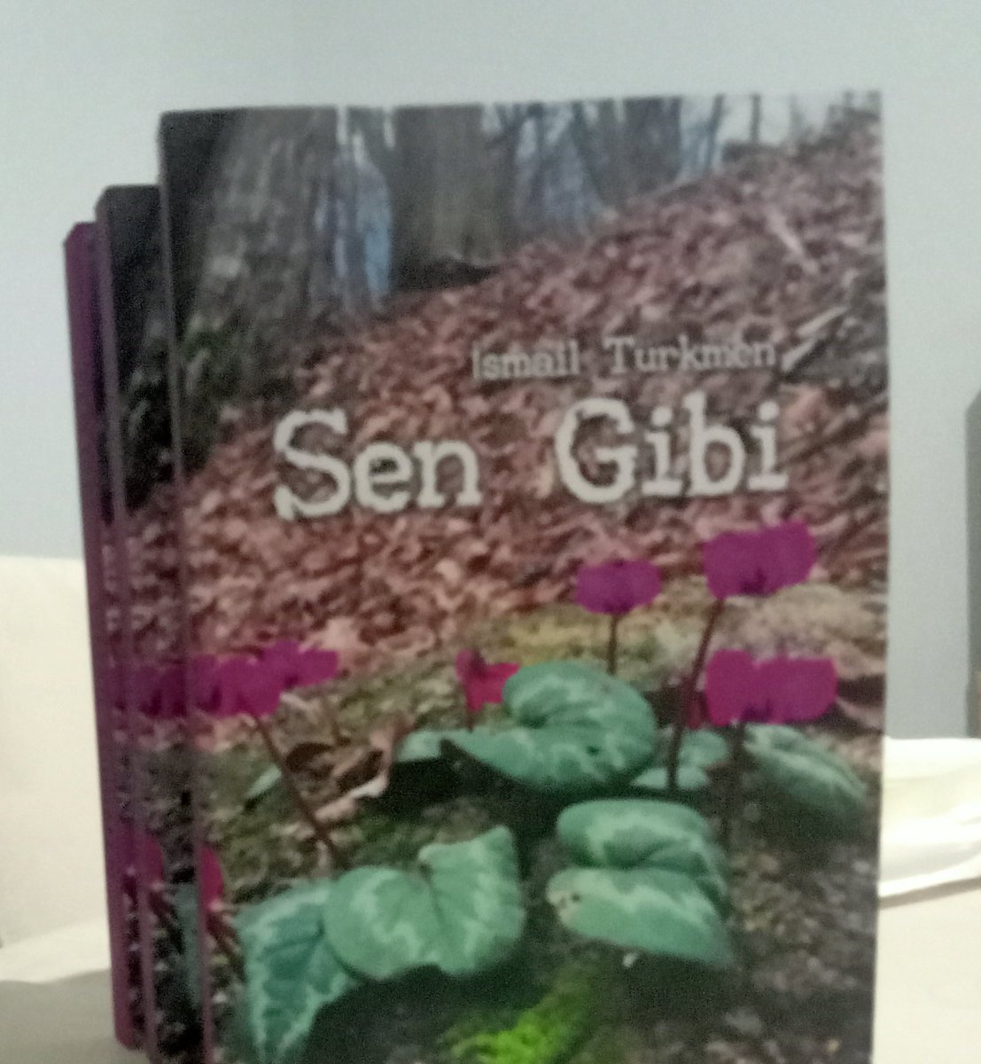 Seviyorum sensiz seni
Seversin elbet bir gün beni
Sevmeni beklemeden beni
Seviyorum sensiz beni
Bırakmazsın eşsiz biliyorum 
Severken karşılıksız sevgimi
İ. Türkmen