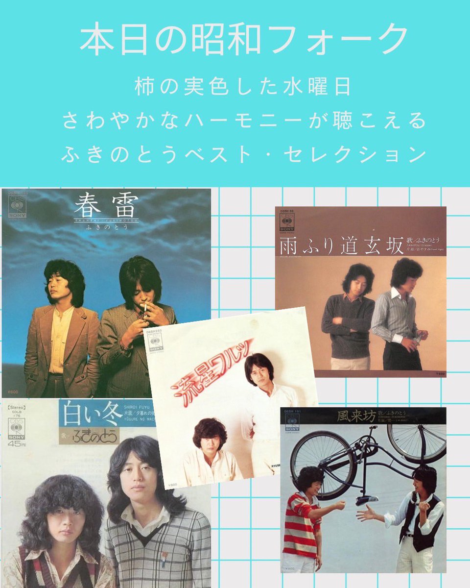 冨井祐輔 tweet media