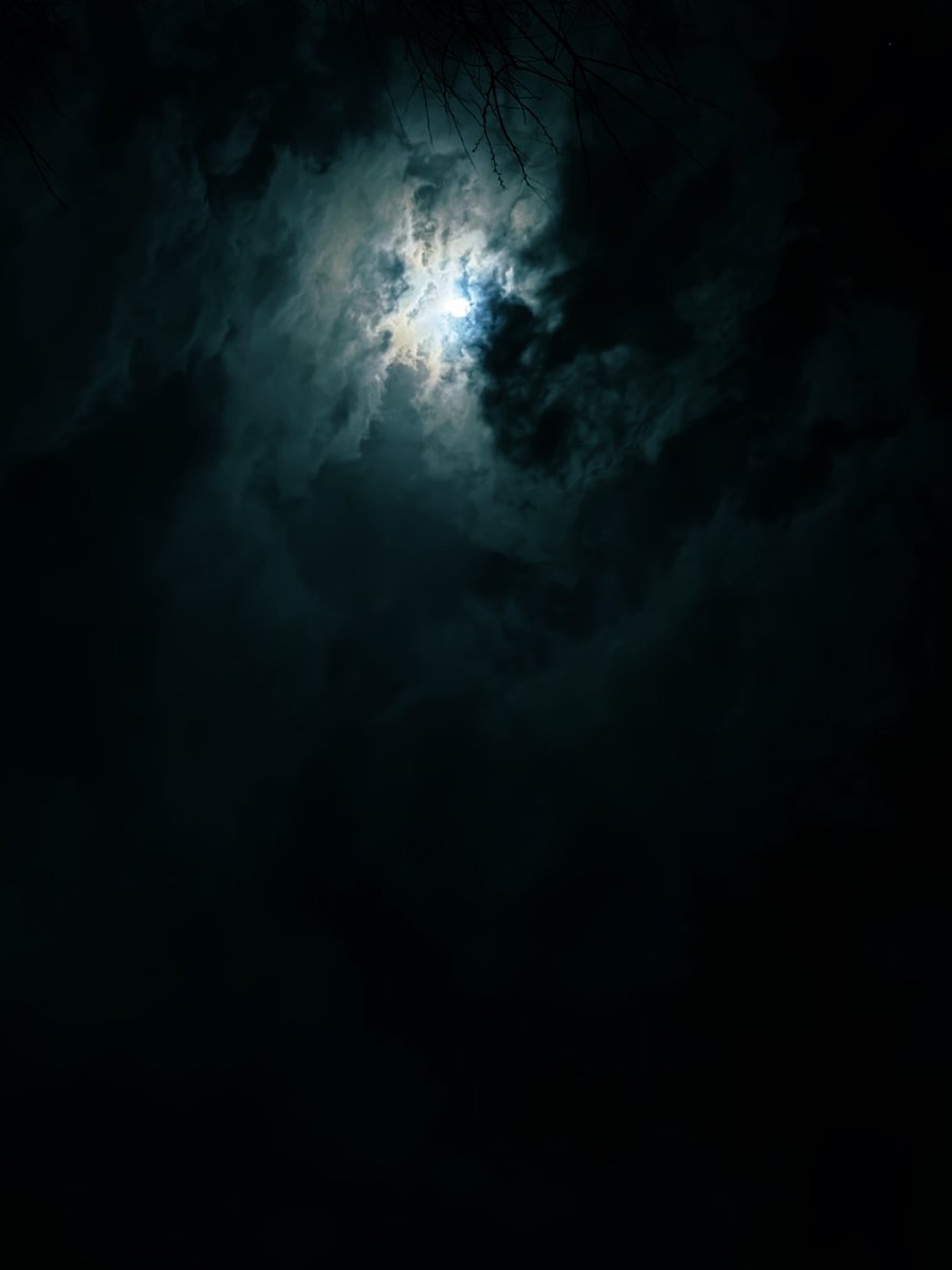 ふふふふふ tweet media