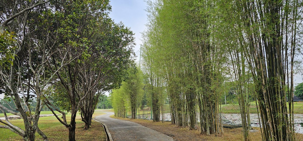 하롱부부 tweet media