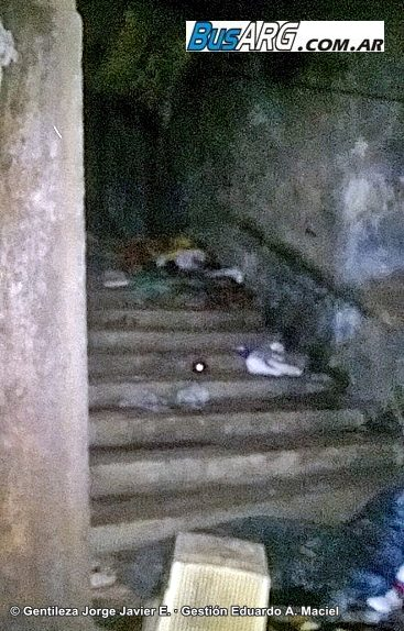 Gertino 🚇 tweet media