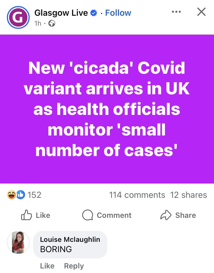 Cat (CovidSolidarity) tweet media