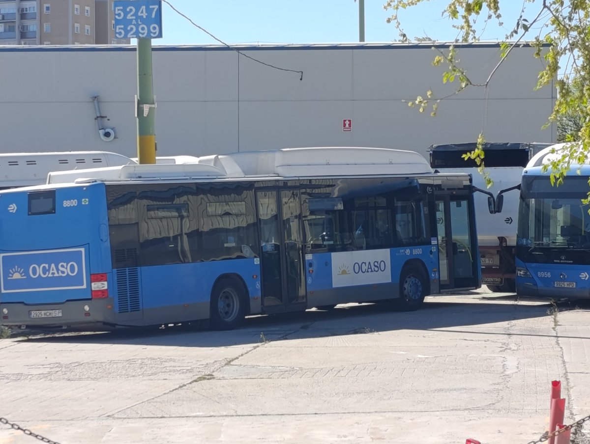 spotter70 tweet media