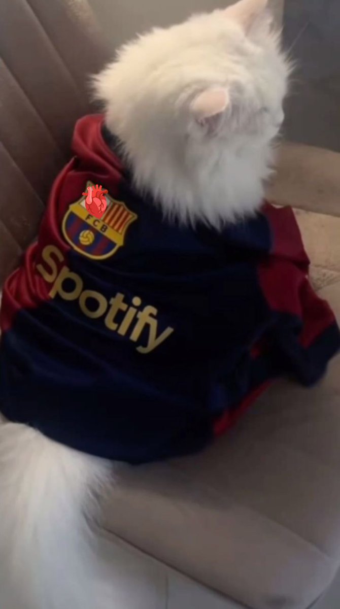 شَهِدَ tweet media