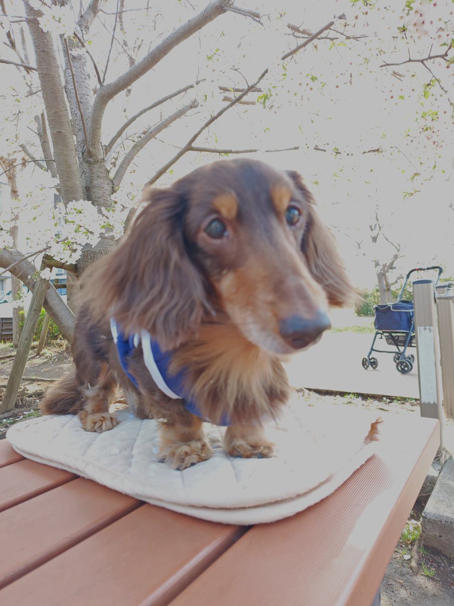 ラッキー王子 tweet media