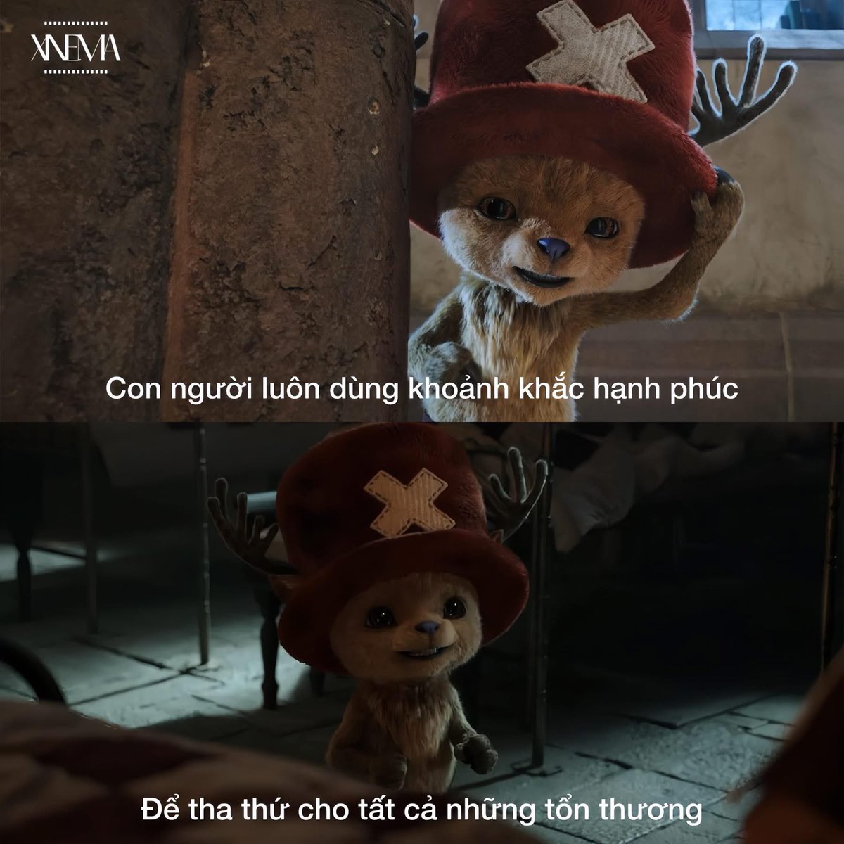 Chữa lành không phải là đi tìm một nơi không có nỗi đau. Chữa lành là khả năng ngồi yên với nỗi đau mà không cần chạy trốn.