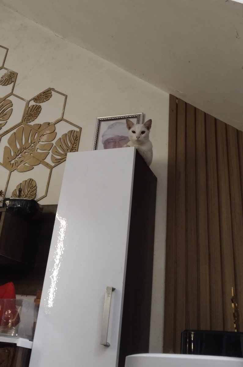 Baca saja tweet media