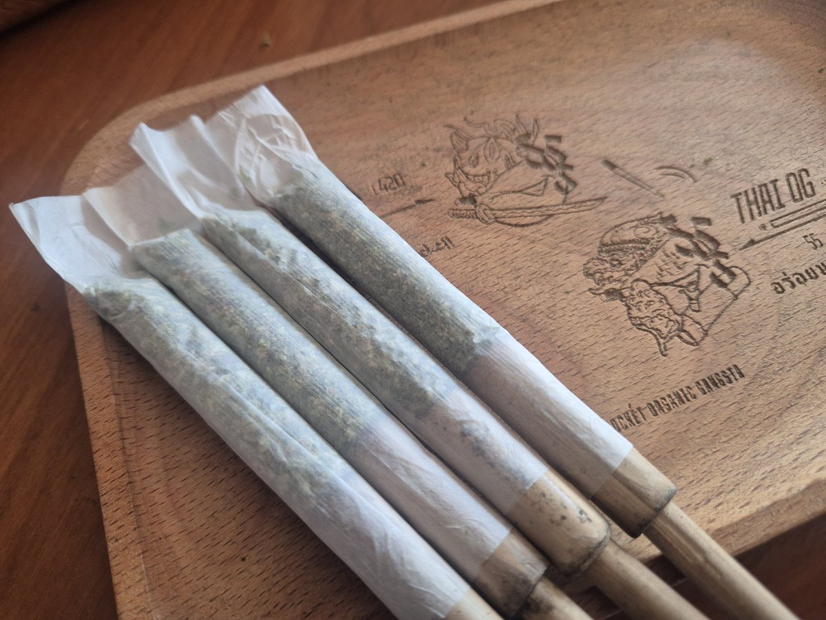 Kei | 借金2000万抱える大麻盆栽家 tweet media