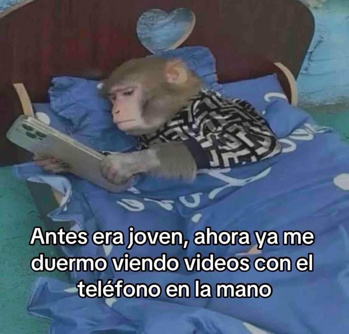 Pensamientos (@frasesimple) on Twitter photo 