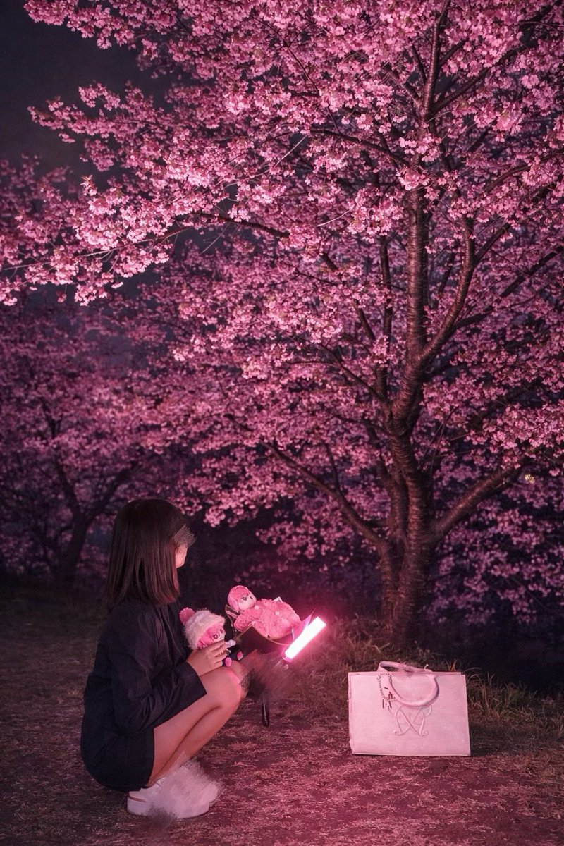 あおい tweet media