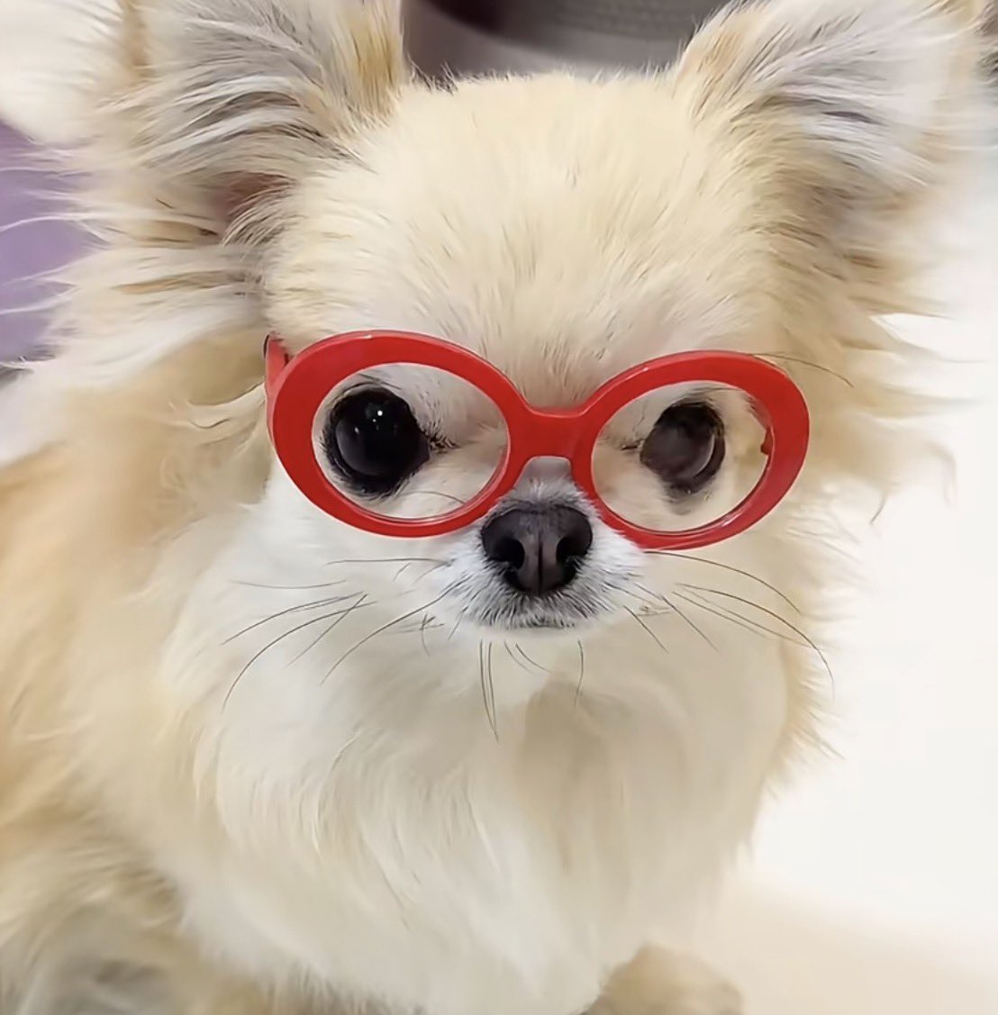 이거는 김민재.
#AprilFoolsDay #민재 #싸이커스 #xikers #MINJAE