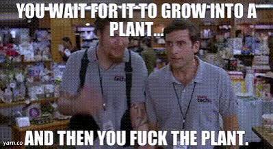 Graygave tweet media