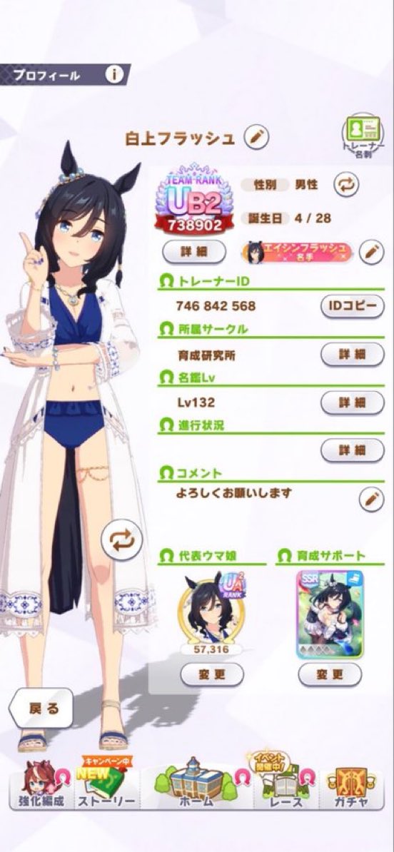 エイシンフラッシュ専属 tweet media