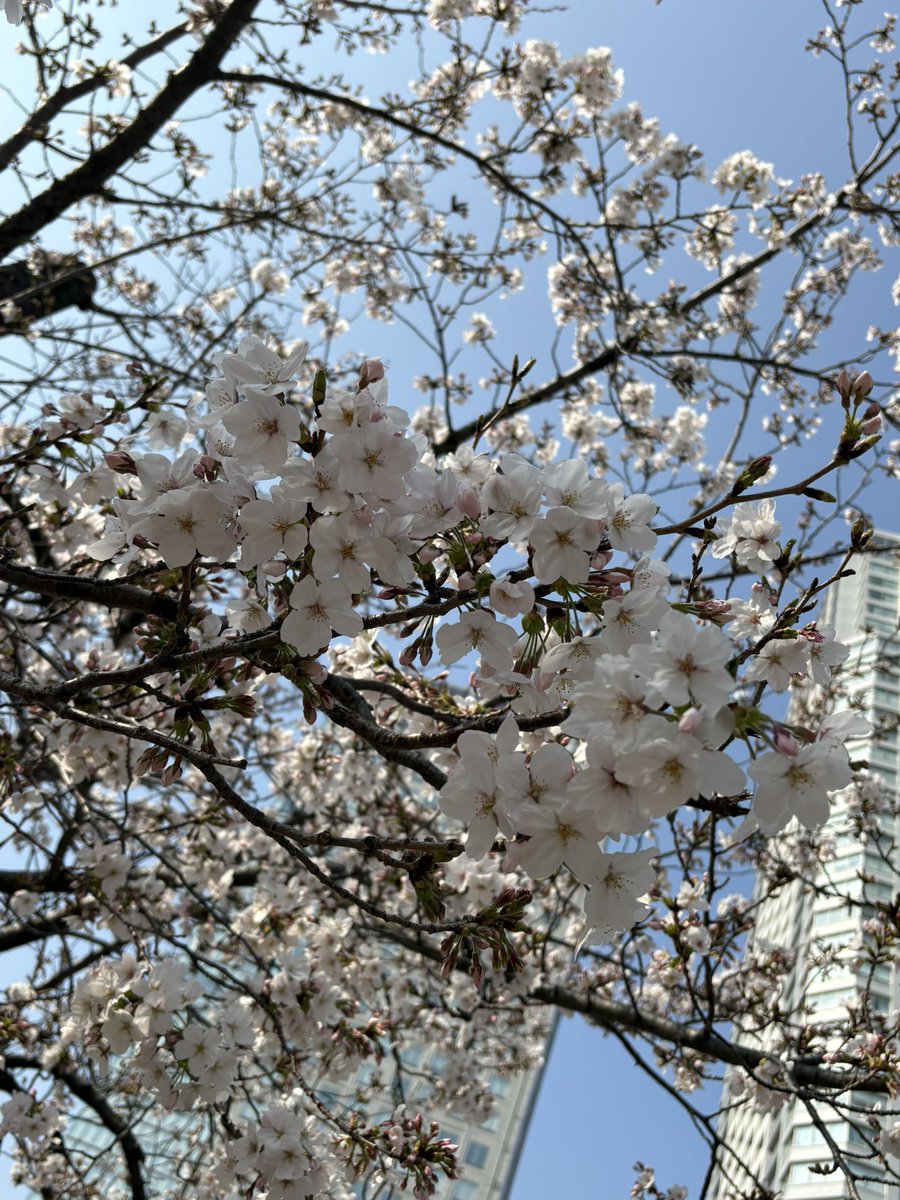 りあ@ガーディアンズガーデン tweet media