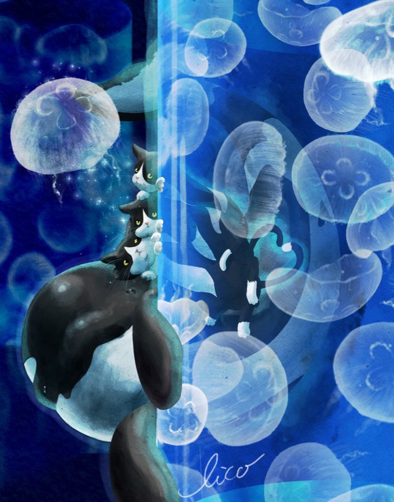 Eico シャチ💙 実物大でシャチ描きたい！ tweet media