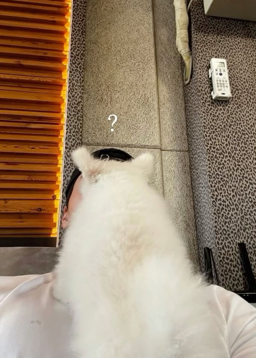 ⚠︎︎-Slow dms tweet media