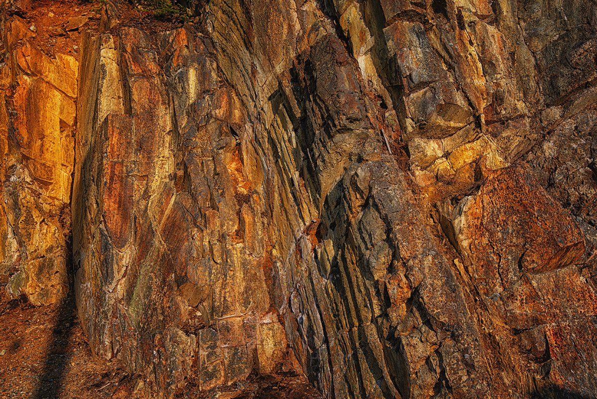 Sam_Alexandra23's tweet image. Good day Photographers &amp;amp; Friends! Yes, it's #Texture Tuesday! Let's see your captures that fill the frame with texture close up. Examples: leaf, rock, silk, branches. Have a nice day &amp;amp; be safe! #Photography #Nature #Manmade 📸😊🇨🇦