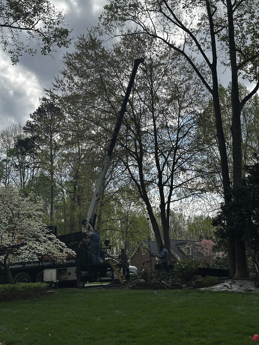 Mark Bowles tweet media