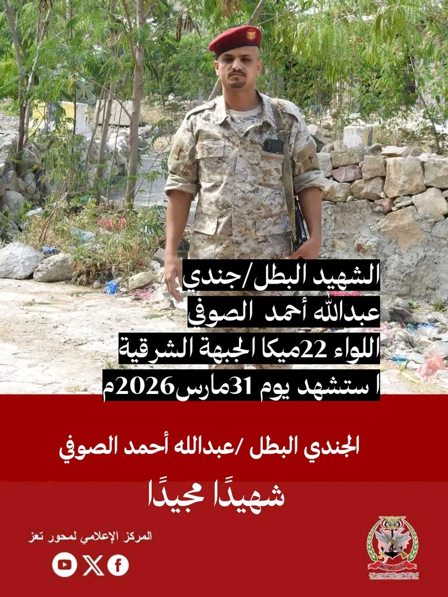 محمد علي الشيباني tweet media