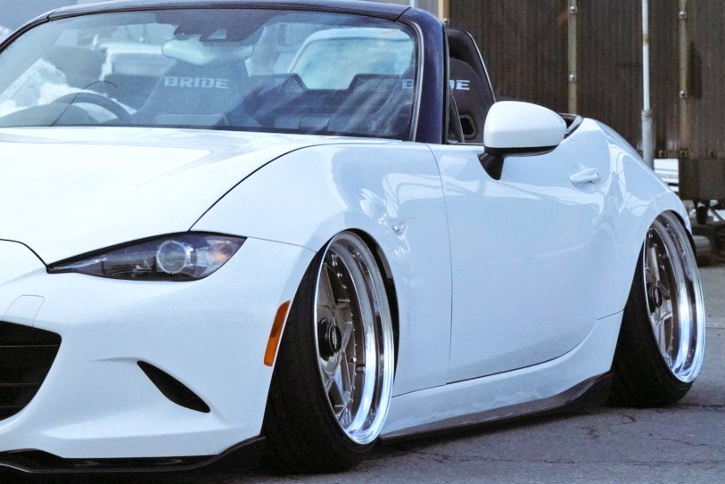 野生のトリケラトプス tweet media