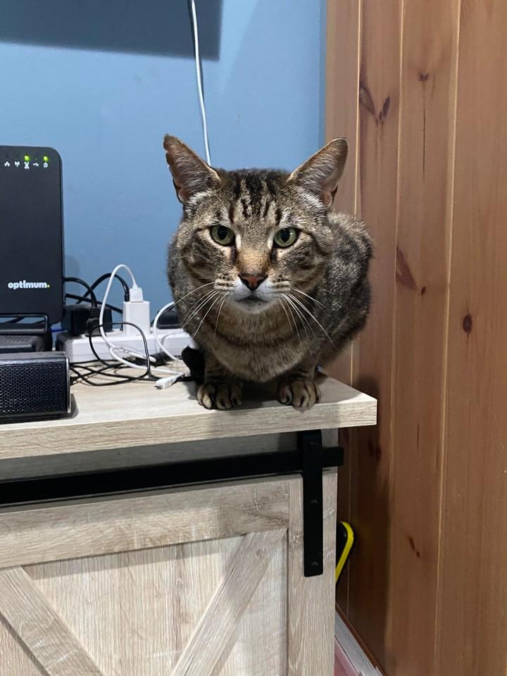 Sara Mary ⭐❤️ tweet media