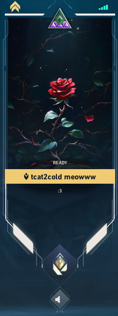 trevorcat tweet media